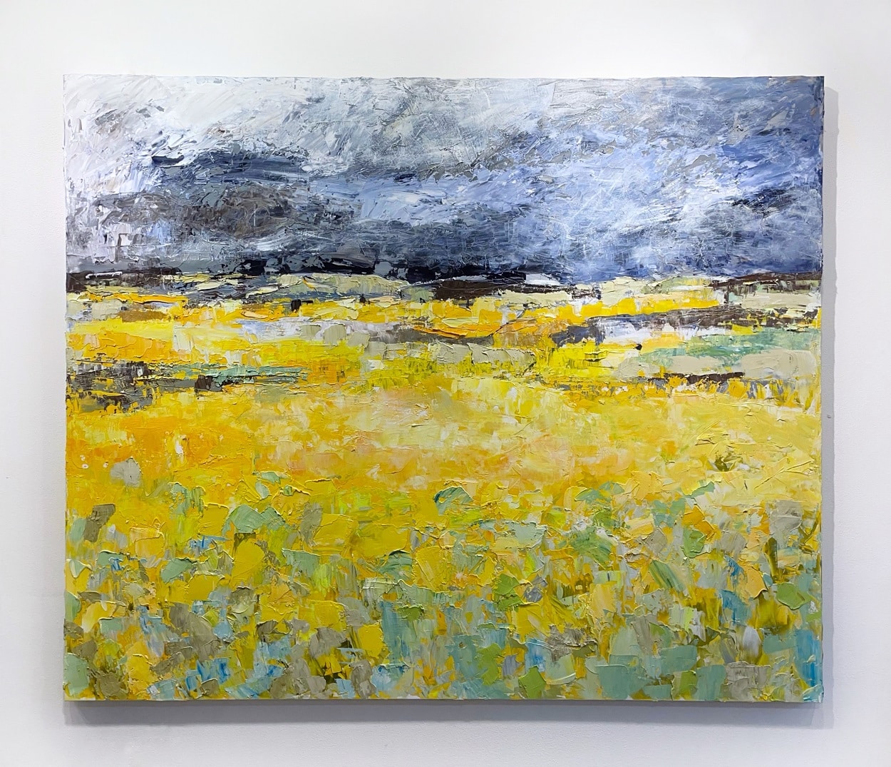 Dark Sky Bright Field