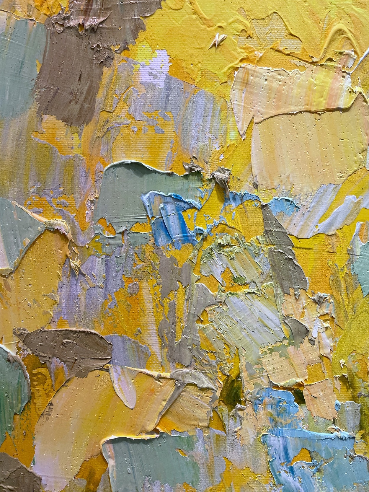 Dark Sky Bright Field