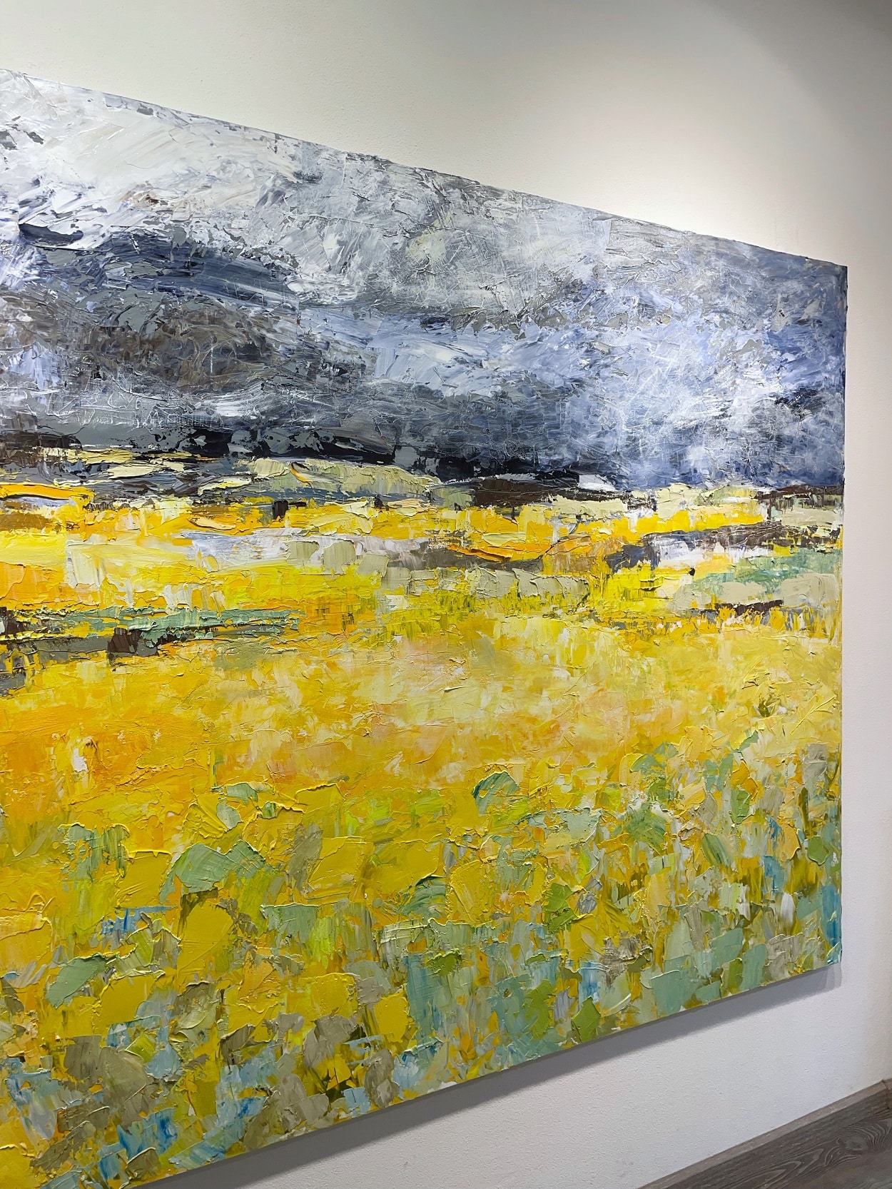 Dark Sky Bright Field