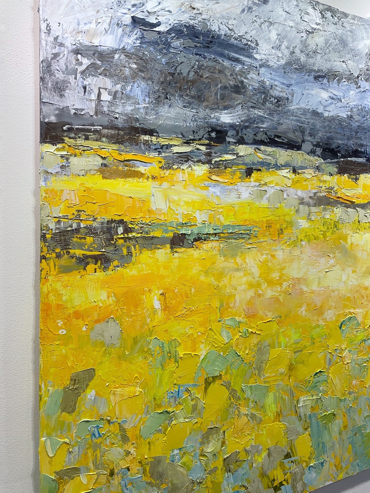 Dark Sky Bright Field