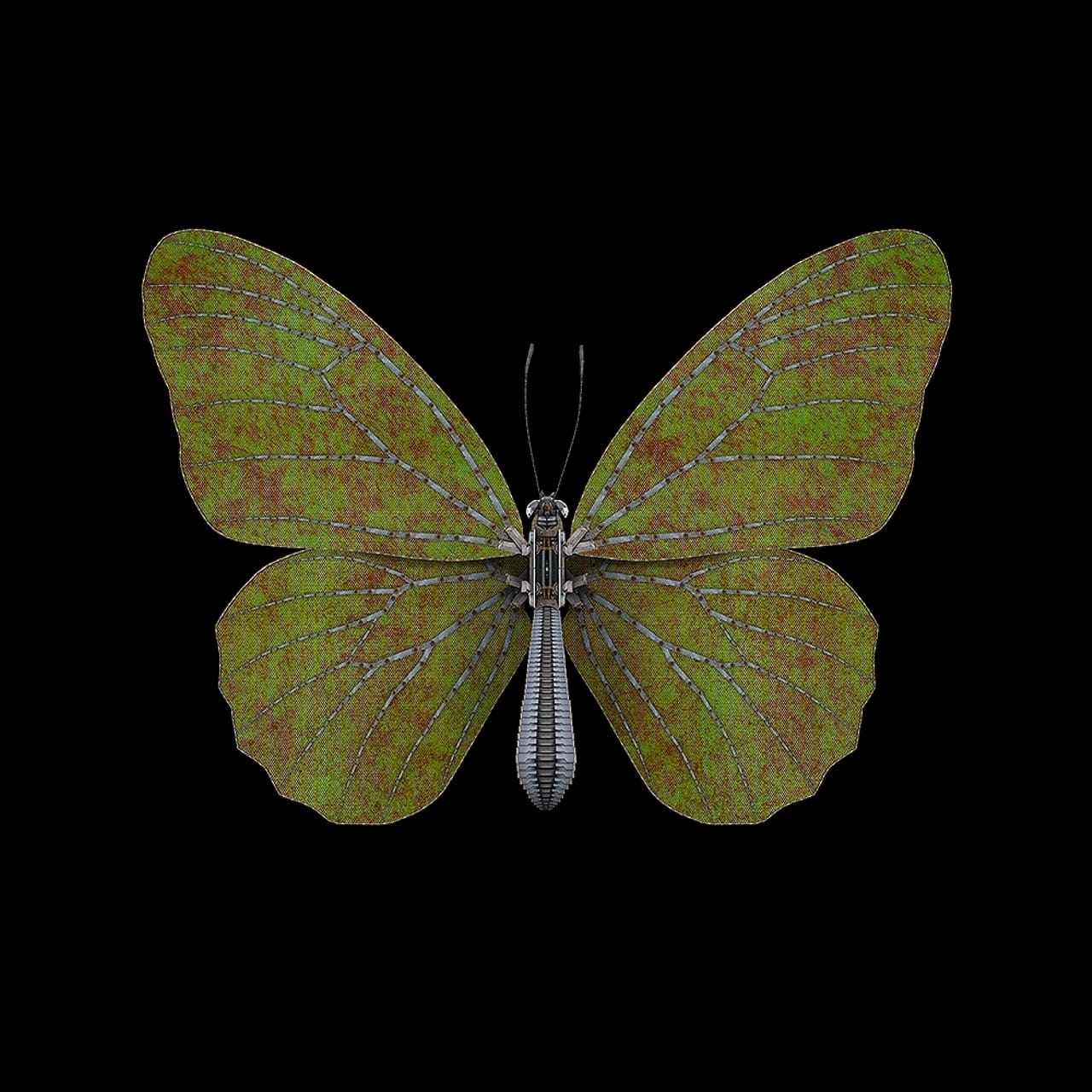 Butterfly III - Green