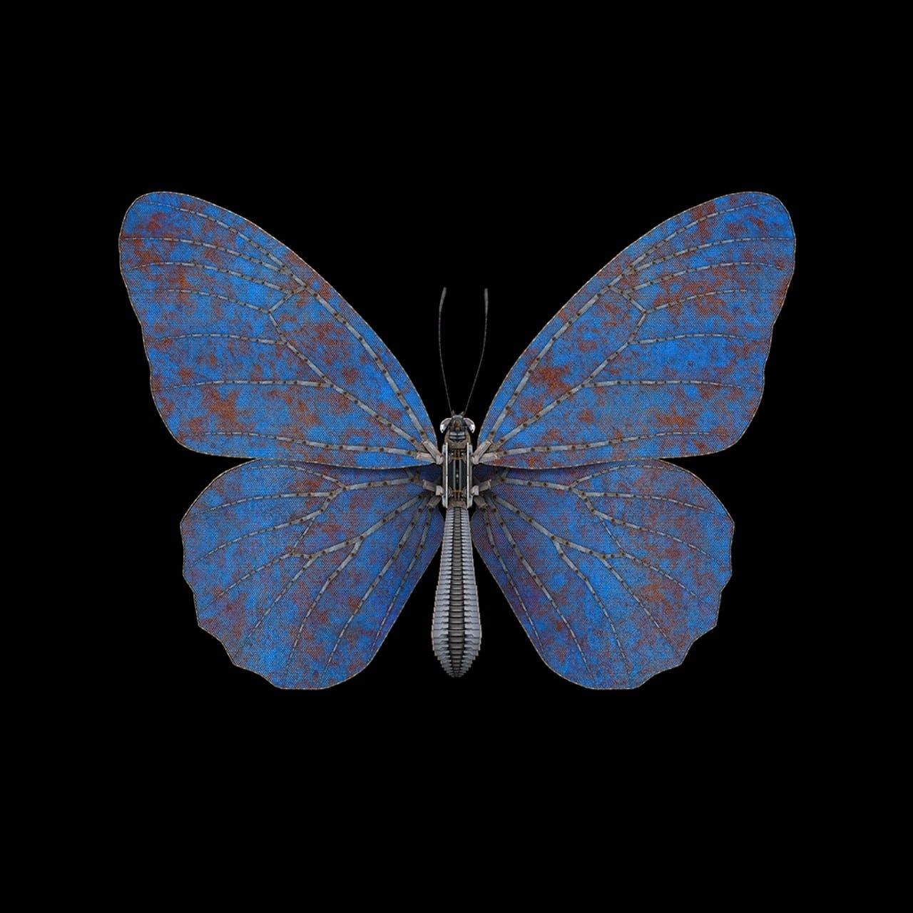 Butterfly II - Blue