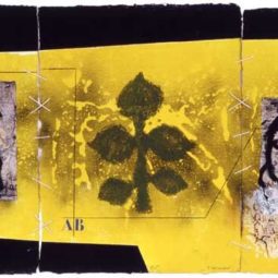 Plan exterieur jaune