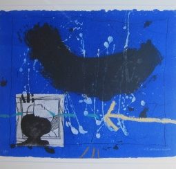 Directionnelle sur bleu