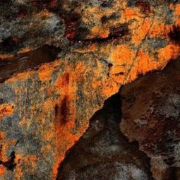 Taferelles Africaines 36