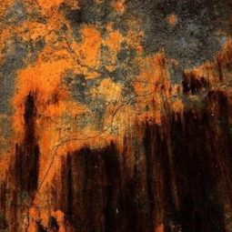 Taferelles Africaines 37