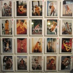 Do it yourself box Luna II