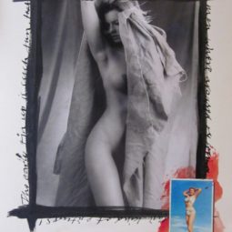 Sketchbook diaries nr. XX