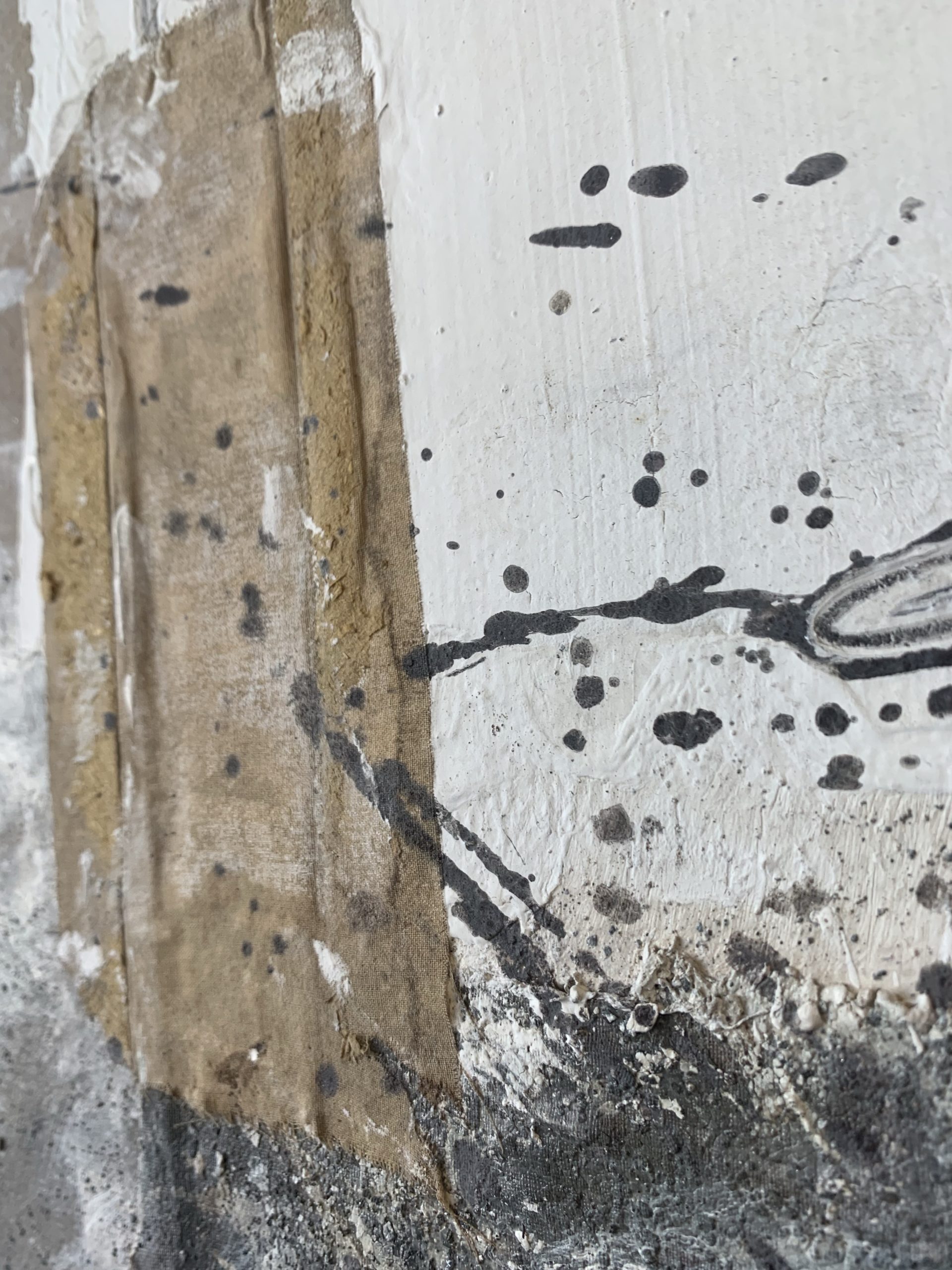 Indian Soil Series V