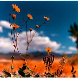 Hells gate, California