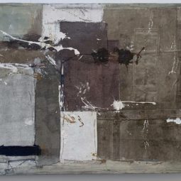 Indian soil V - no. I