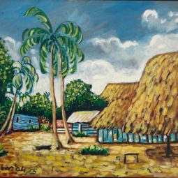 Indianendorp I, Calibi Suriname