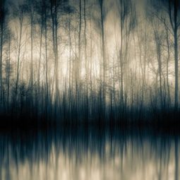 Forrest Whisper 150x100 cm