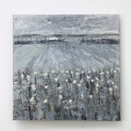 Huis met het witte dak