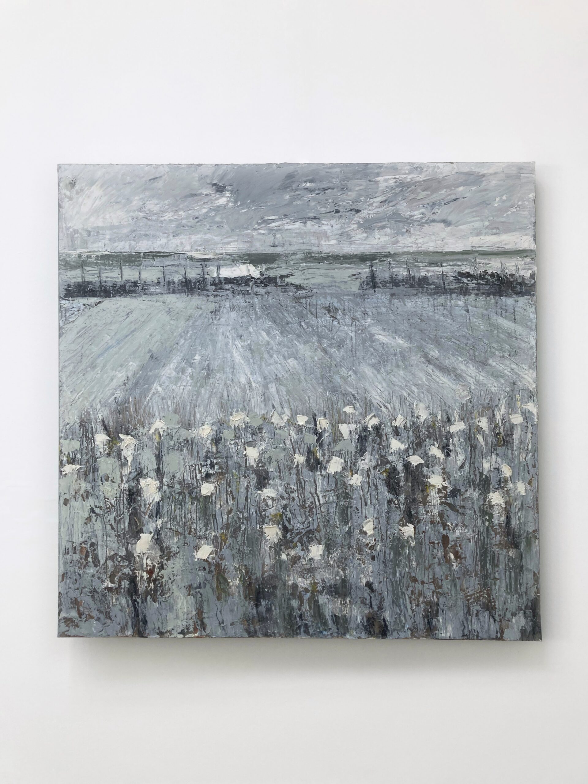 Huis met het witte dak