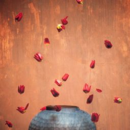 Dutch Flower Bomb VII