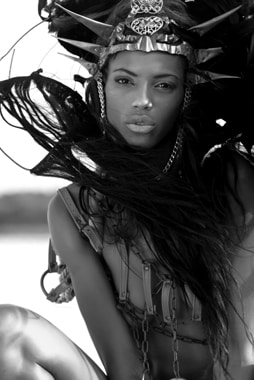 Crowned Lioness - 100x150 cm