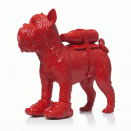 Cloned Griffon Bruxellois with pet bottle - Red