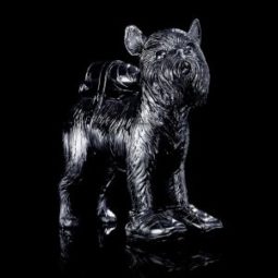 Cloned Griffon Bruxellois with pet bottle - Black