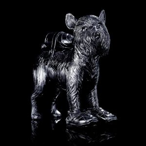 Cloned Griffon Bruxellois with pet bottle - Black